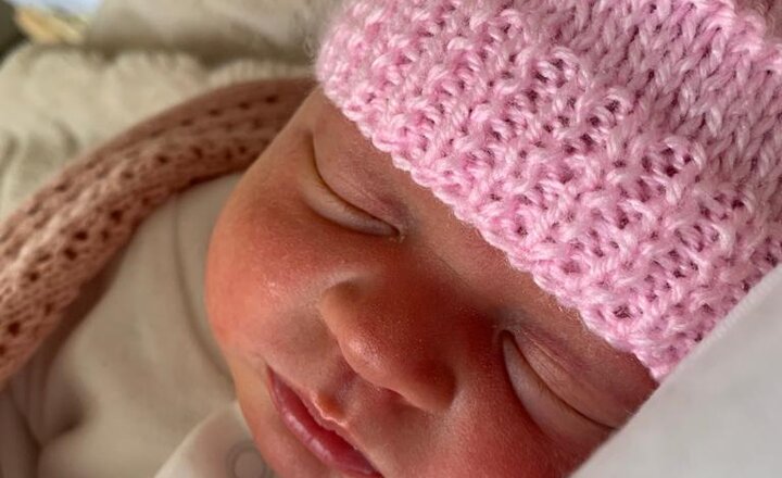 Image of Welcome to the World Olive