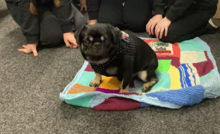 Image of Message from CEO- Mrs Gethin