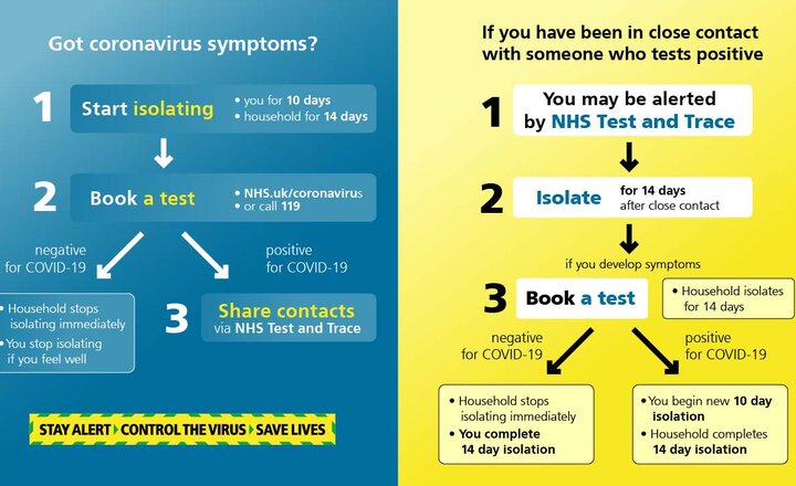 Image of Covid Symptoms Flow Chart