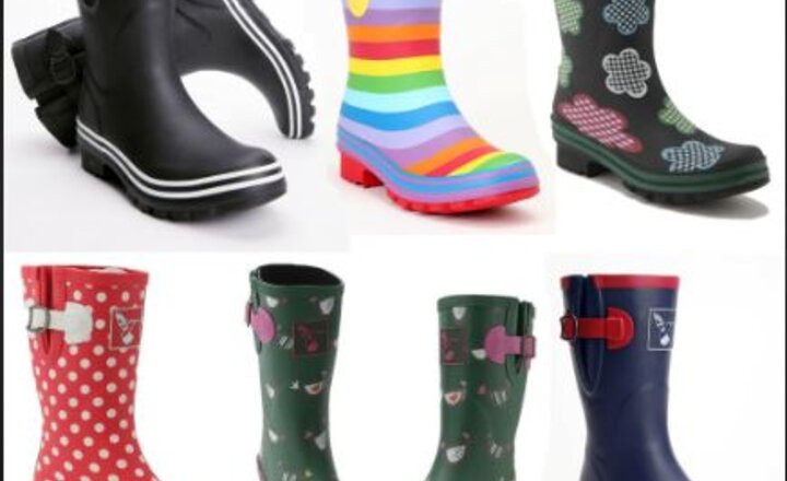 Image of Class 1- Wellies