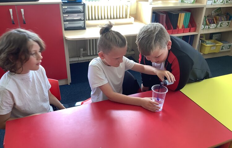 Image of Investigating how plants absorb water