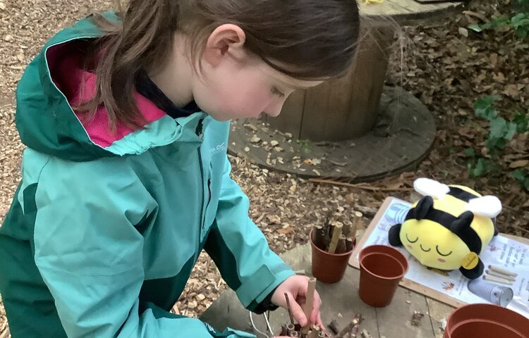 Image of Forest school May 2025