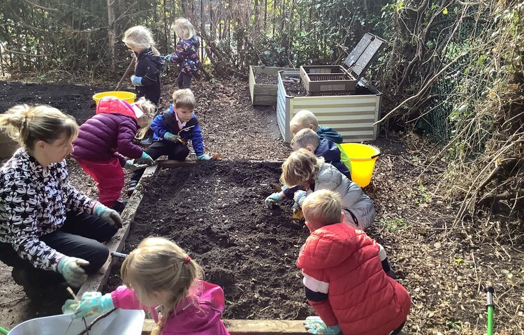 Image of Planting our new salad leaves for the kitchen