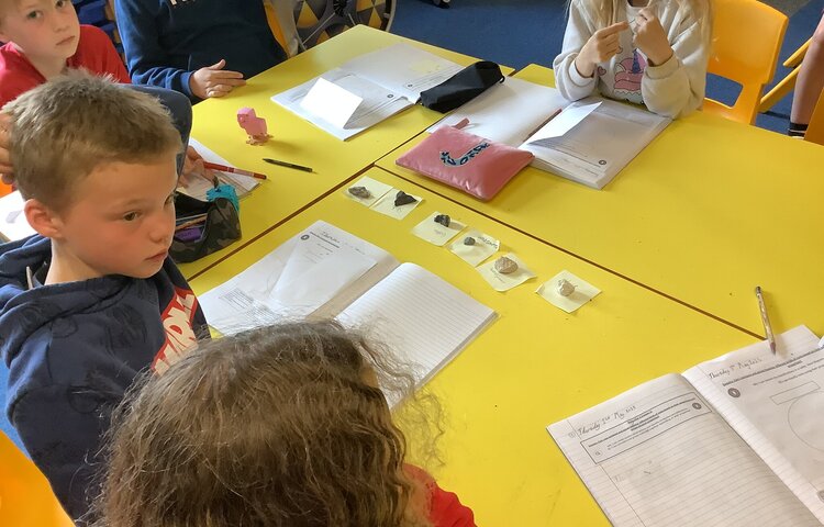 Image of Classifying rocks in science