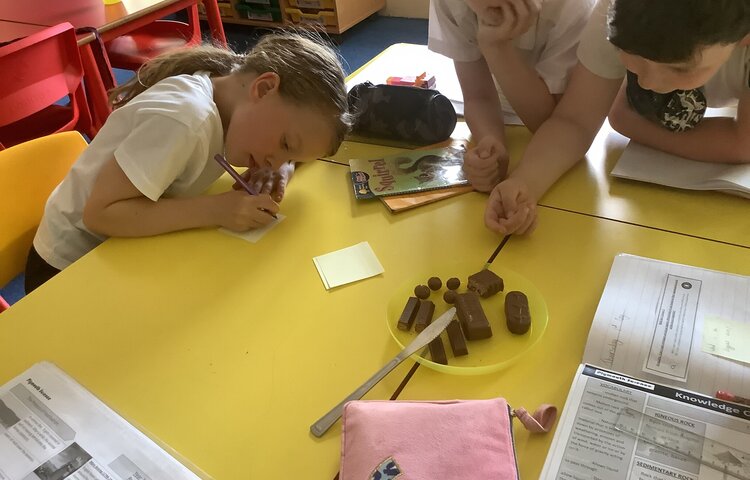 Image of Chocolate Dissection 