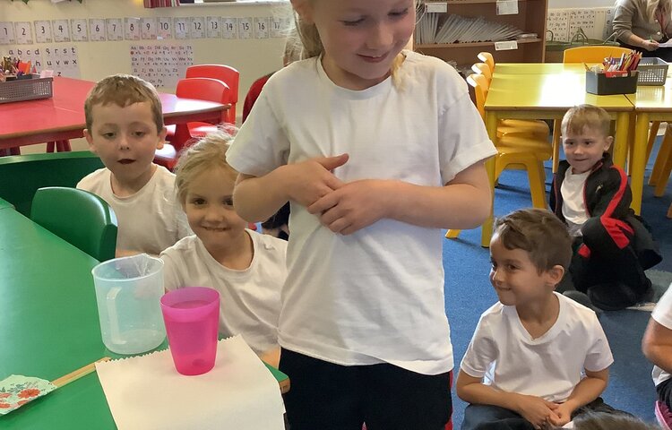 Image of Which materials are absorbent and how do we know?