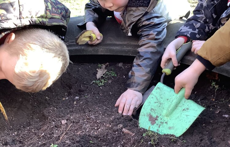 Image of Planting 