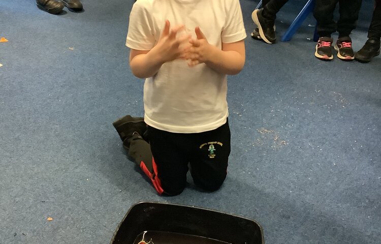 Image of Can you make a boat that will float?