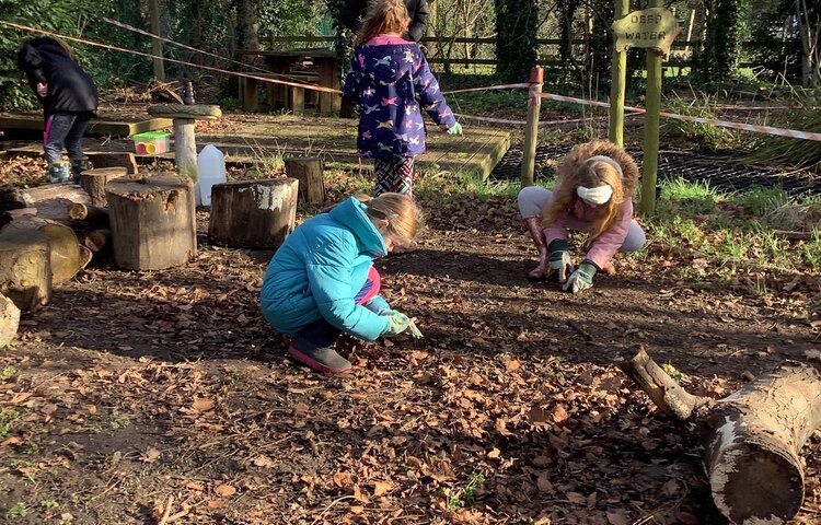 Image of Forest School