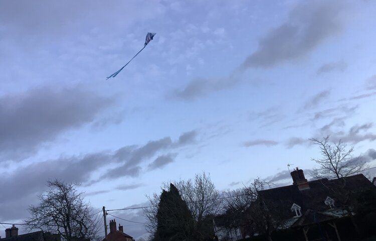 Image of Kite Flying