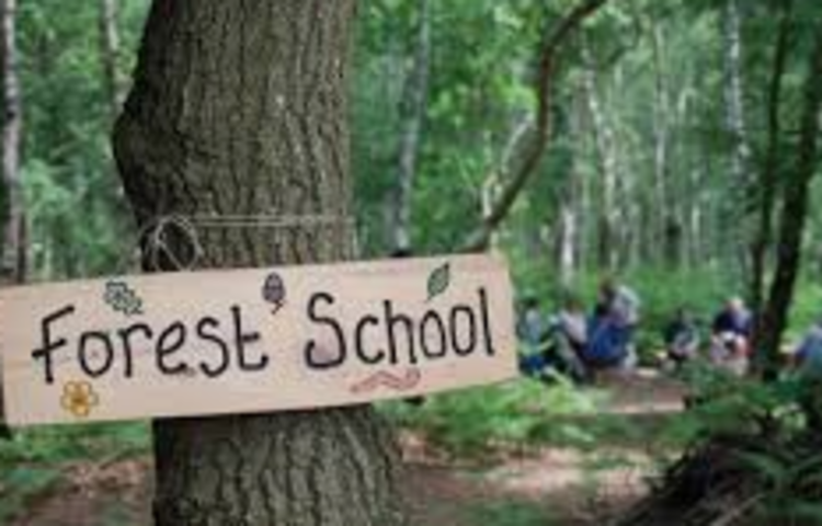 Image of Forest School