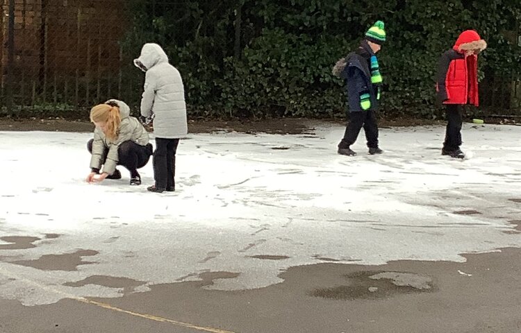 Image of Fun in the snow