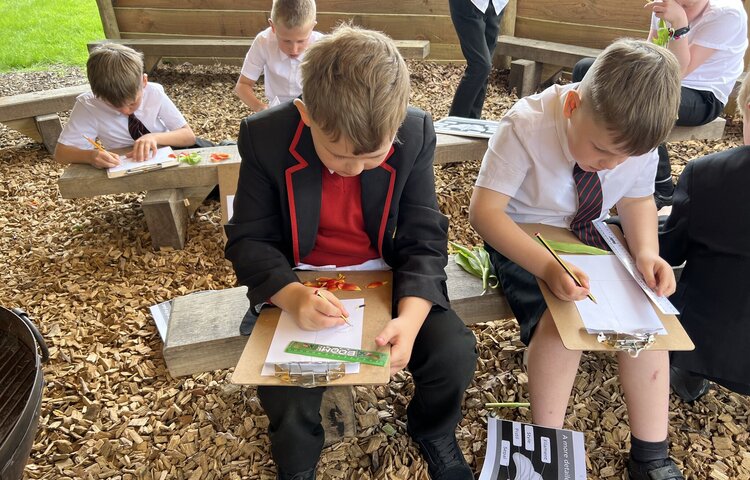 Image of Plant dissection in the outdoor classroom