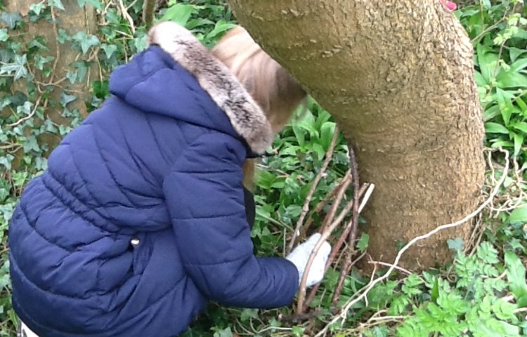 Image of Forest School