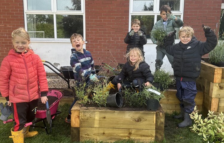 Image of PTFA Sensory garden 