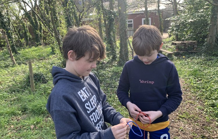 Image of Forest School Fun