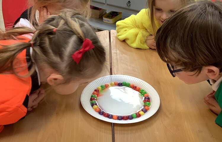 Image of Skittles experiment with the Colour Monster