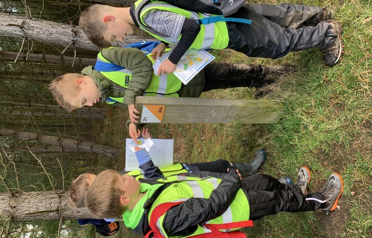 Image of Orienteering at Cannock Chase