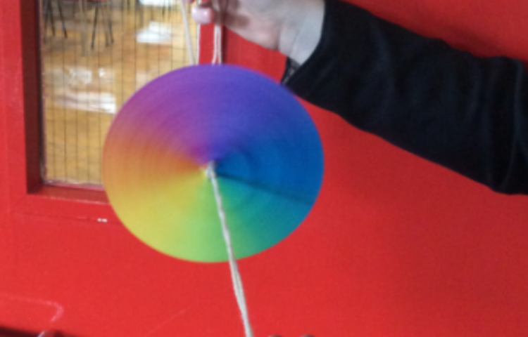 Image of Newton's Colour Wheels!