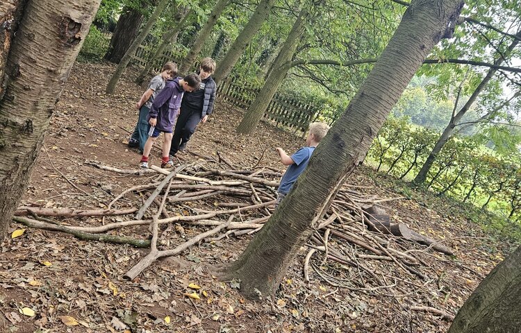 Image of Den building 