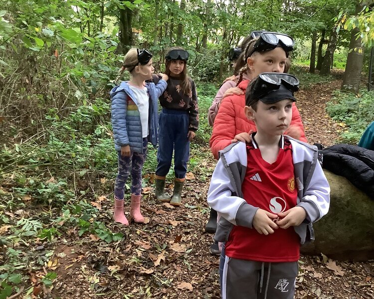 Image of Blindfold trail