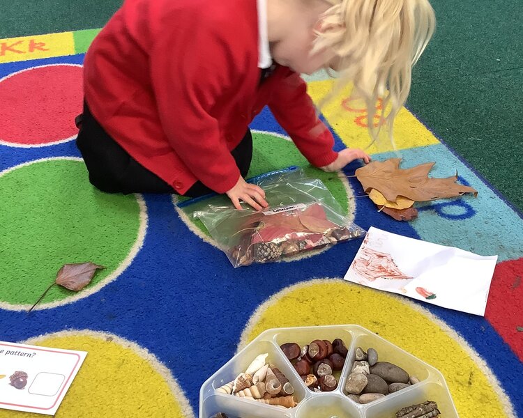 Image of Class 1 - Maths - Autumn Patterns