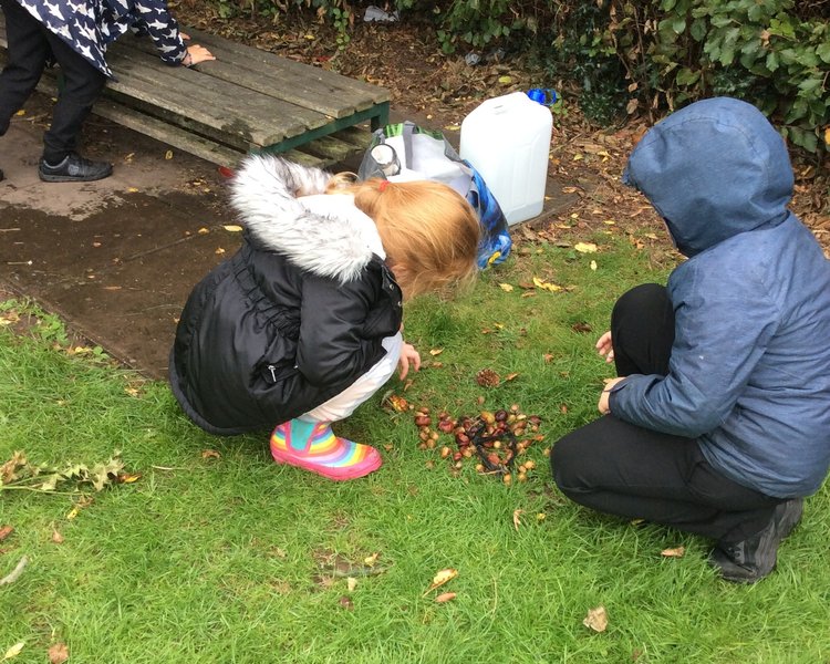 Image of Forest School