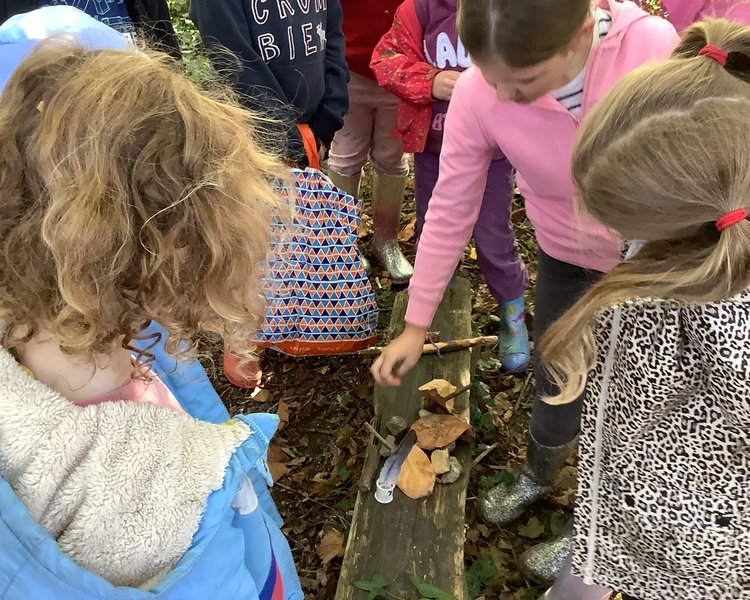 Image of Forest school aut12021