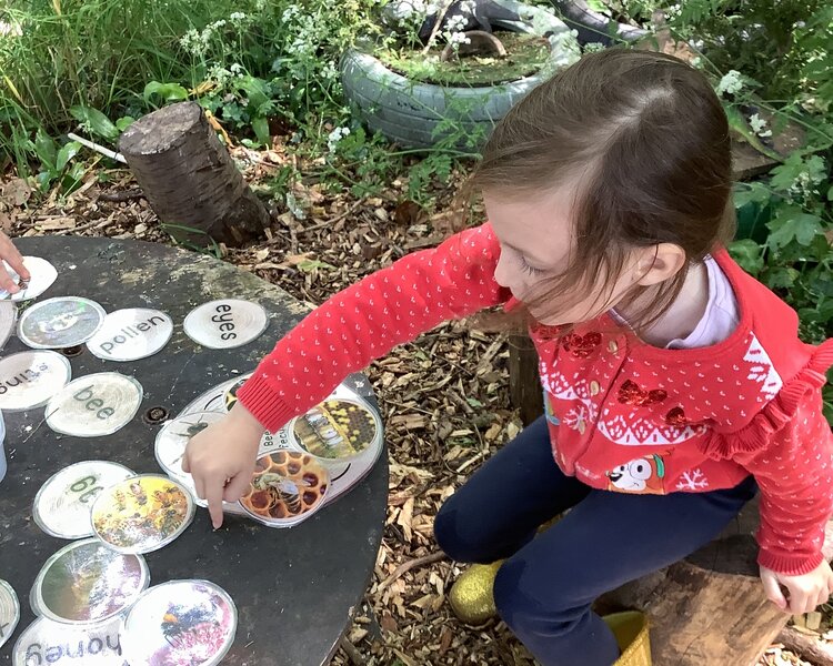 Image of Forest School May 2025