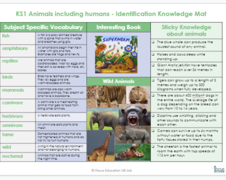 Image of Knowledge Mat