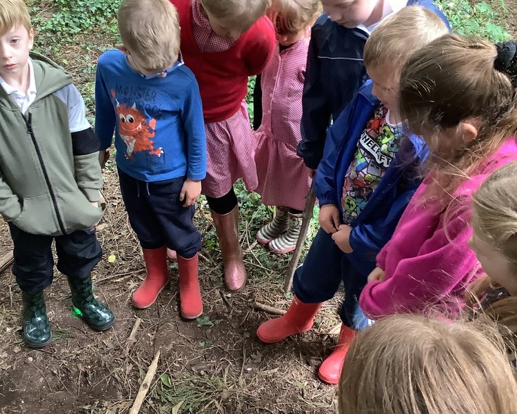 Image of Outdoor Learning