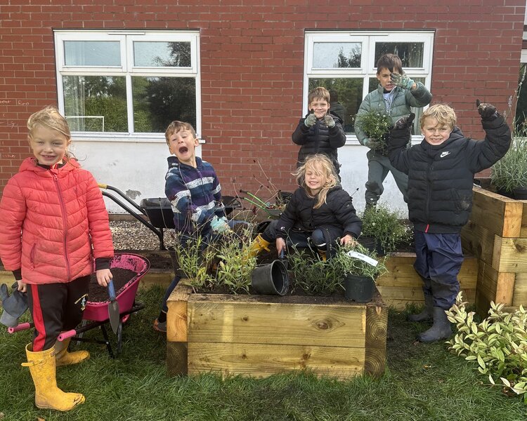 Image of PTFA Sensory garden 