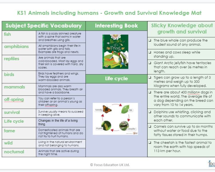 Image of Science Knowledge Mat