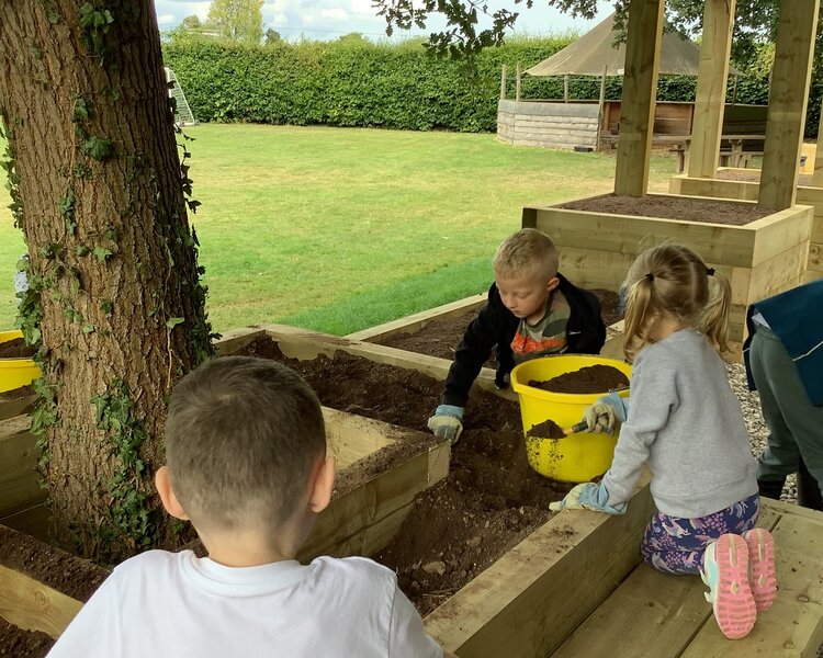 Image of Sensory garden