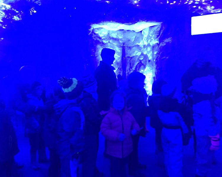 Image of Snowdome 