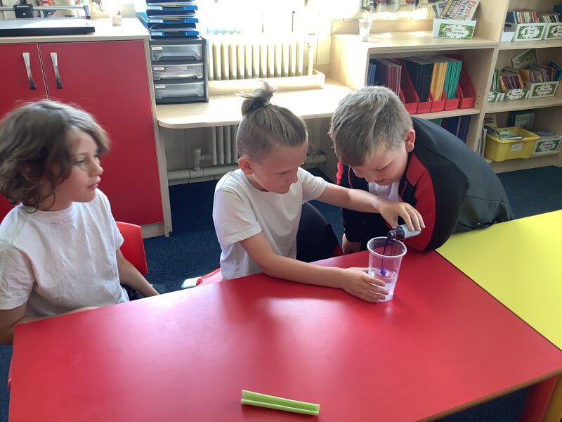 Image of Investigating how plants absorb water