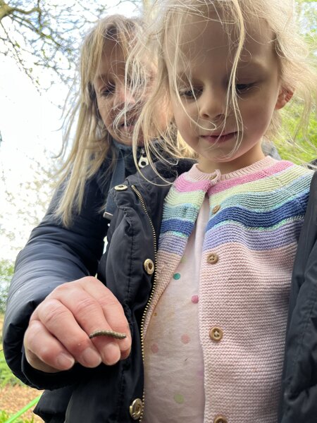 Image of Forest school 