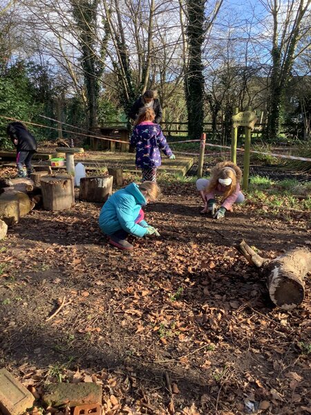 Image of Forest School