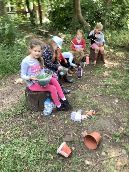 Image of Outdoor Learning- class 1