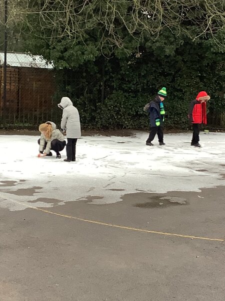 Image of Fun in the snow