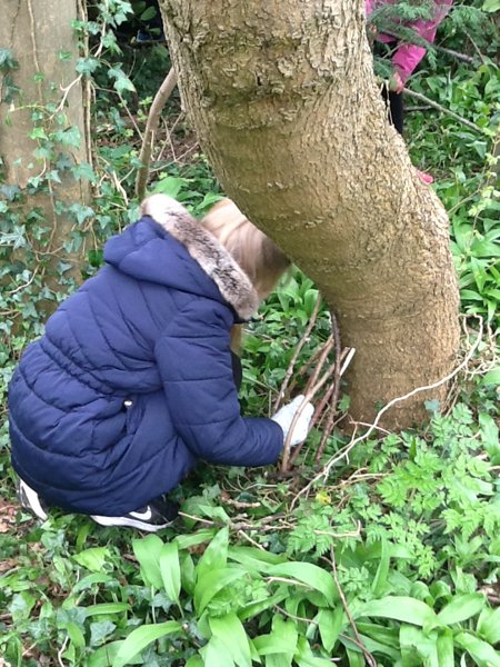 Image of Forest School