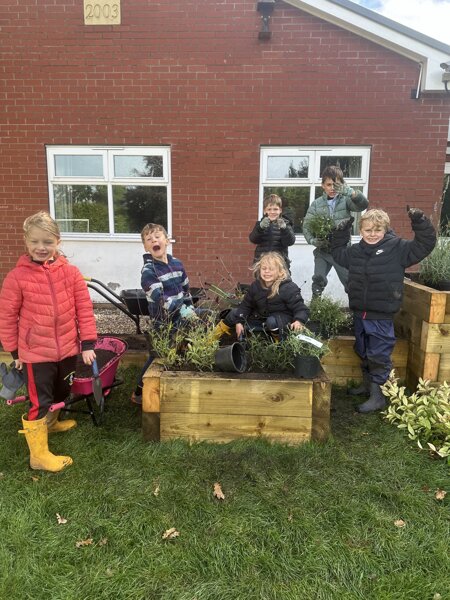 Image of PTFA Sensory garden 