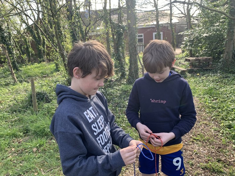 Image of Forest School Fun