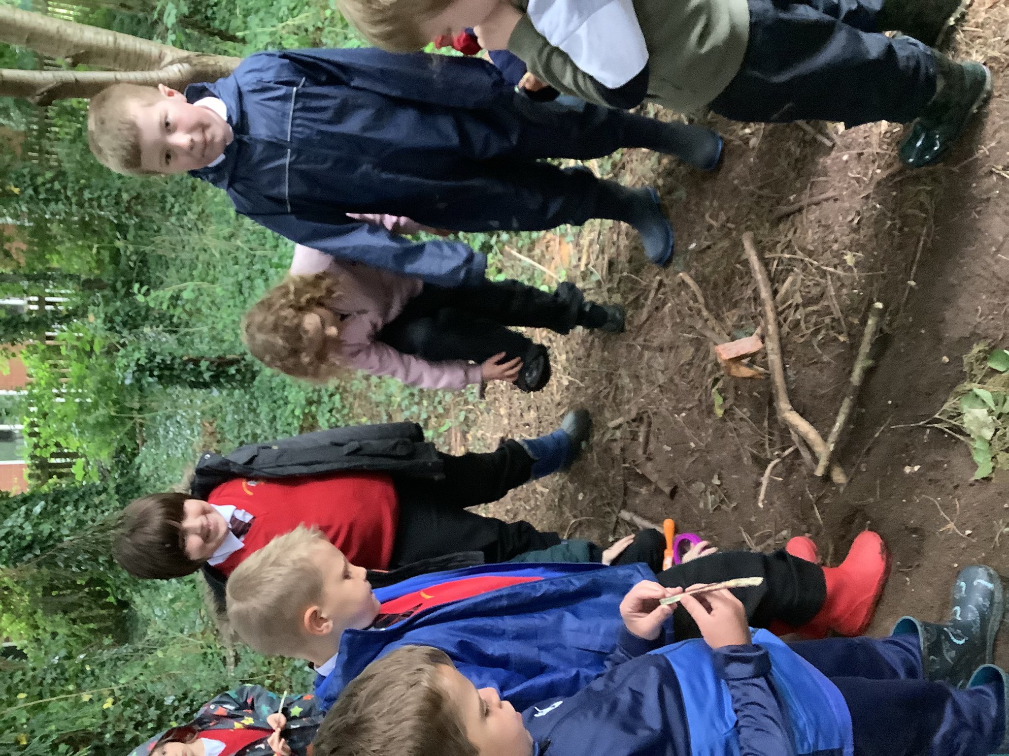 Image of Forest school 