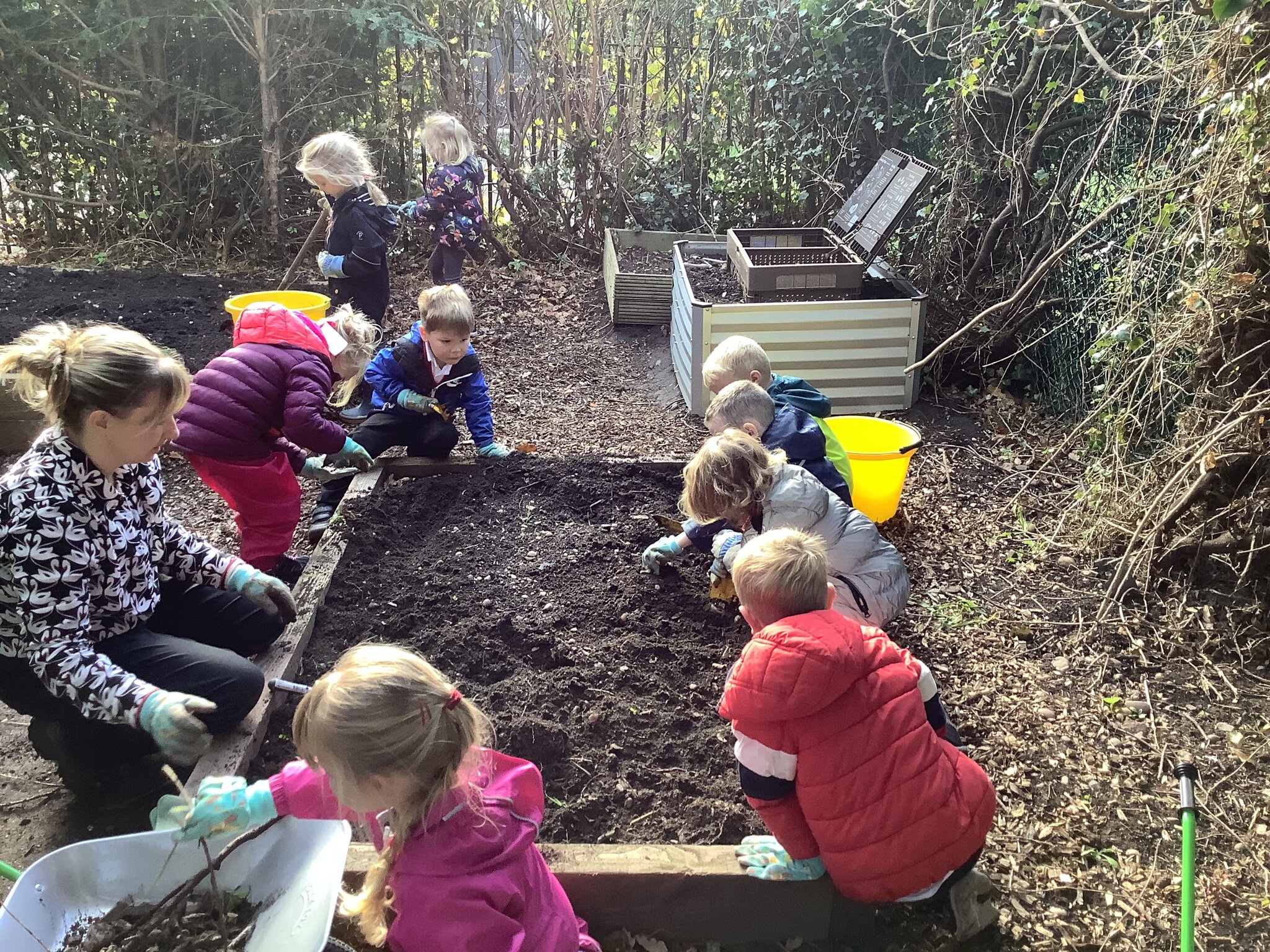 Image of Planting our new salad leaves for the kitchen