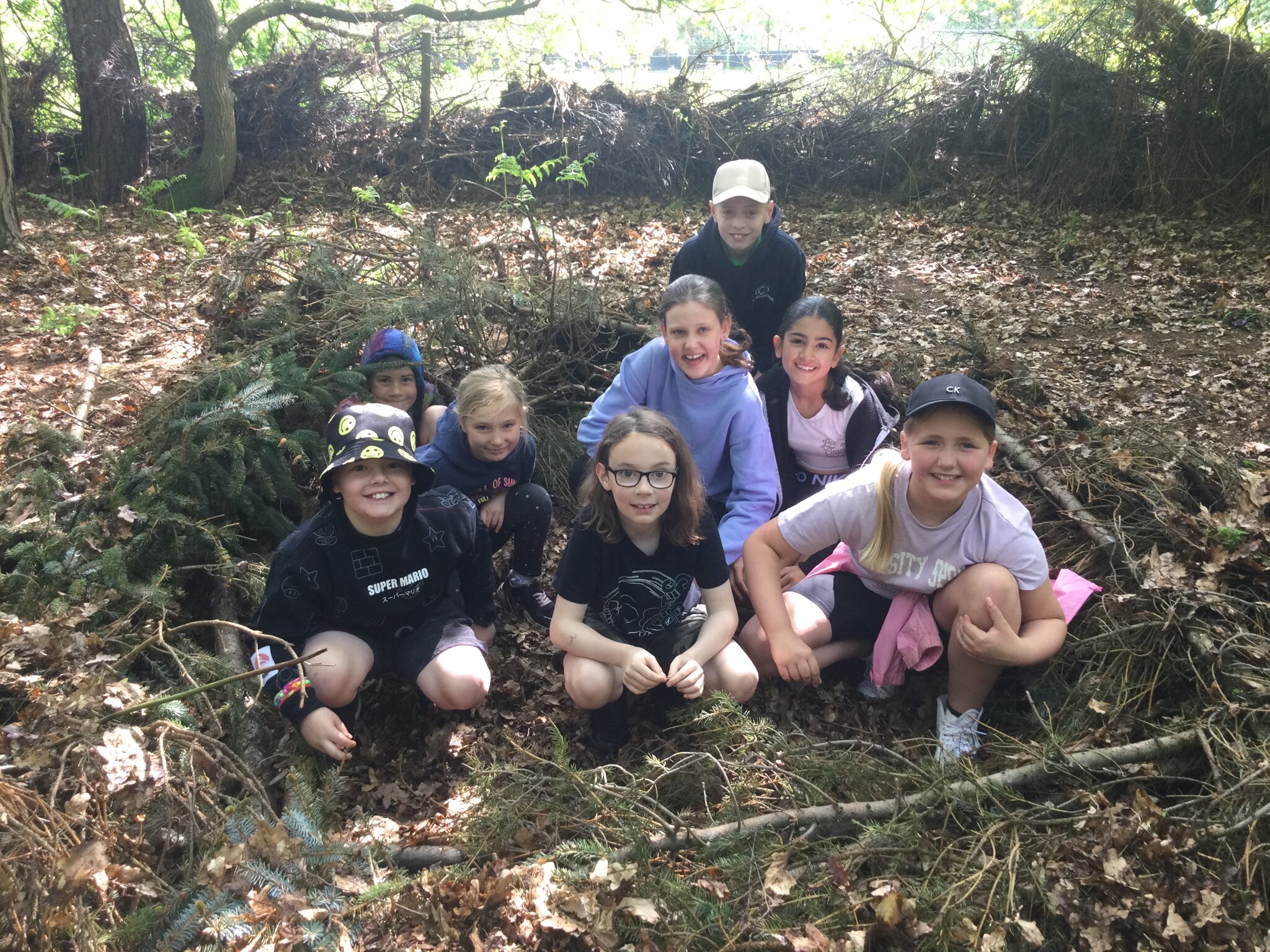 Image of Packington Farm visit
