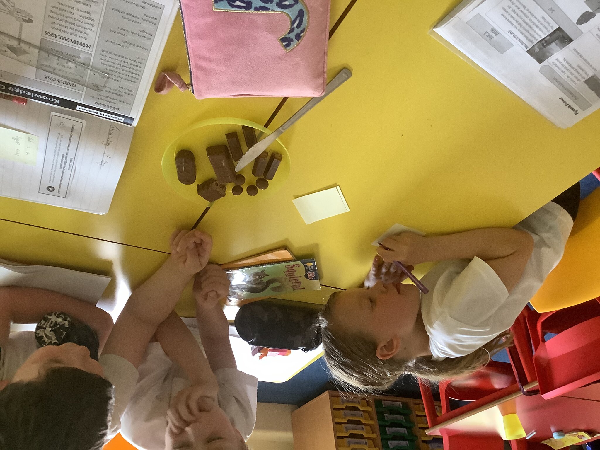 Image of Chocolate Dissection