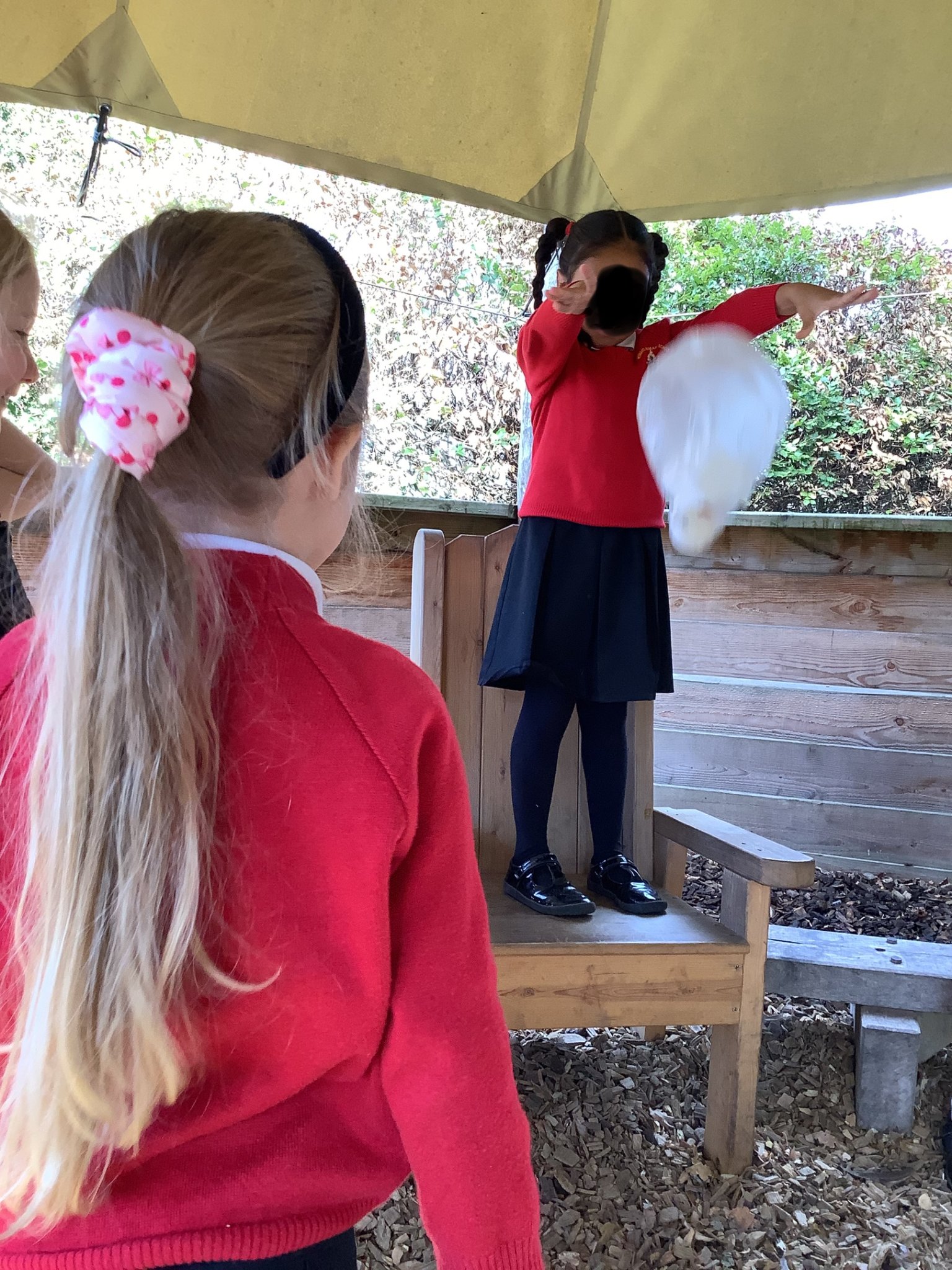 Image of Which materials are best to make a parachute?