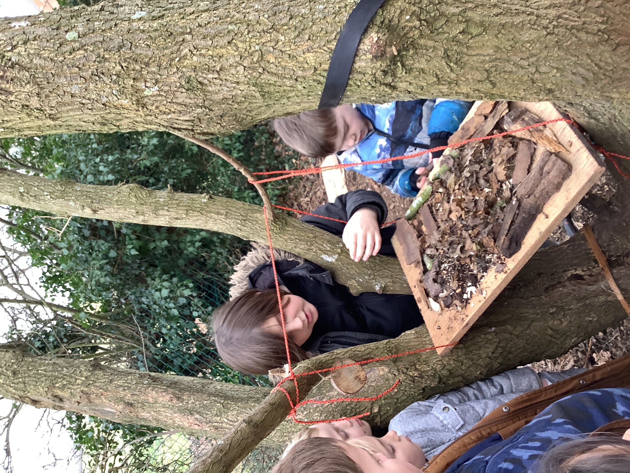 Image of Forest school