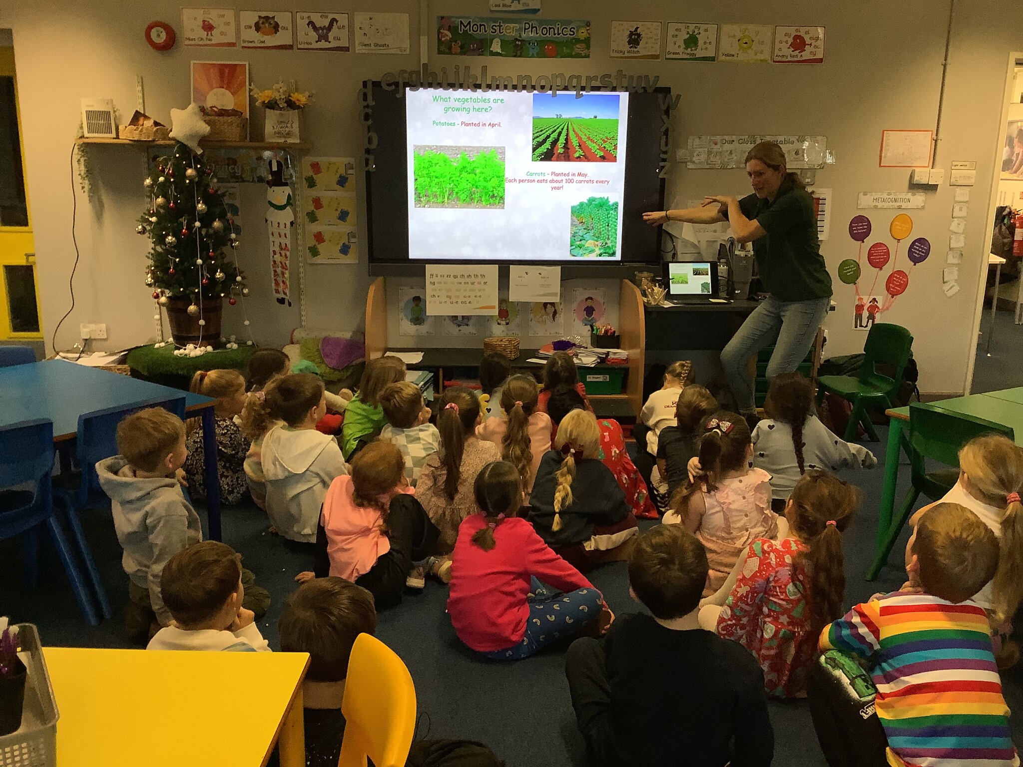 Image of Where does your Christmas dinner come from?